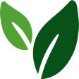 Amazonas em Destaque - logo google