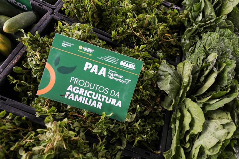 Governo do Amazonas entrega carta de remissão de dívidas e concede crédito rural