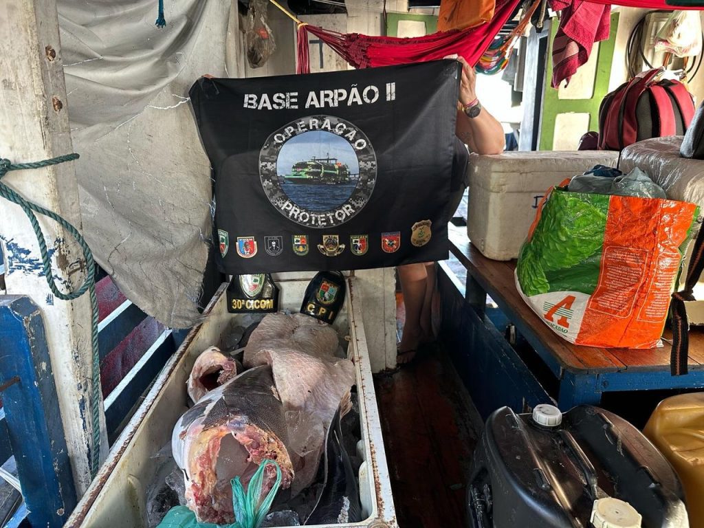 Base Arpão 2: PMAM apreende em Barcelos mais de meia tonelada de pescado protegido pelo Defeso